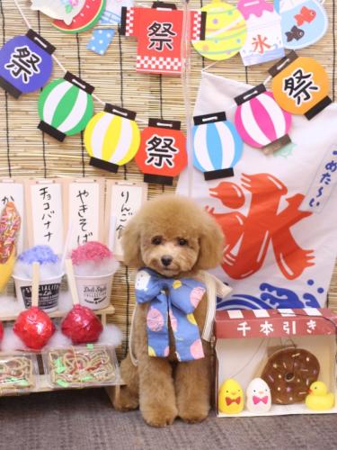 20240727ごんくん